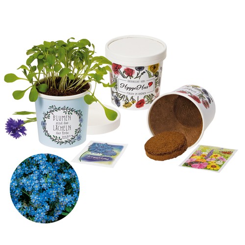 Cup Flower - zaadset - Vergeet-mij-nietje Cup Flower - zaadset - Vergeet-mij-nietje
