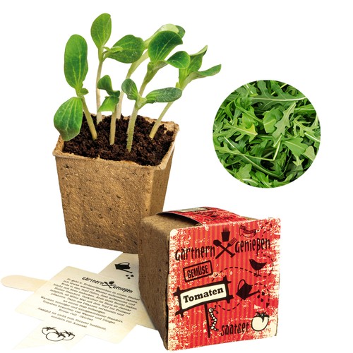 Vegetable Garden Seed Set (large) - Arugula