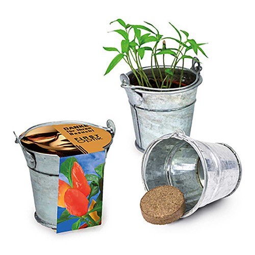 Mini plant-bucket with seeds - Chili Mini plant-bucket with seeds - Chili