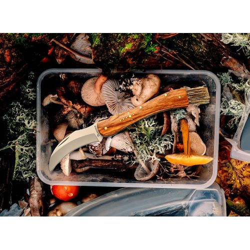 Mushroom knife ‘Laguiole’ Mushroom knife ‘Laguiole’