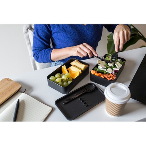 contenitore per il pranzo