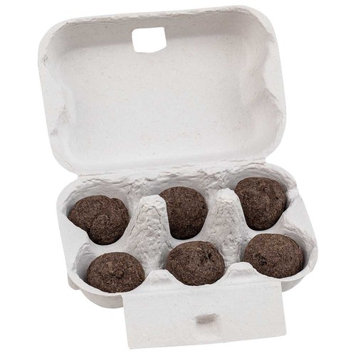 Sixpack - Flower-Balls midi with seeds with seeds Sixpack - Flower-Balls midi with seeds with seeds