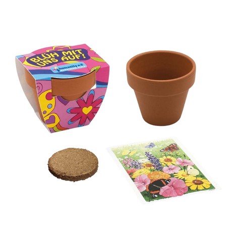 Small terracotta plant pots - Forget-me-not