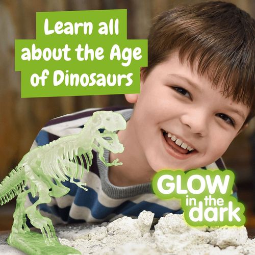 Fossil Excavation Kit I. Gra edukacyjna dla dzieci