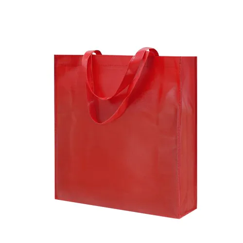 Bag Divia