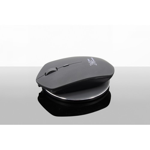 souris & base induction 10W