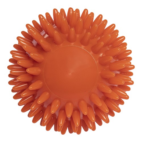 massaggiatore massaggiatore