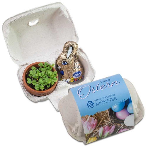 Boxed pleasure - duo - with plant-pot and chocolate-bunny Boxed pleasure - duo - with plant-pot and chocolate-bunny