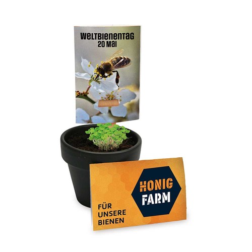 Bee-aid stick with seeds - with standard engraving Bee-aid stick with seeds - with standard engraving