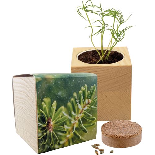 Big Natur Cube Spruce Big Natur Cube Spruce