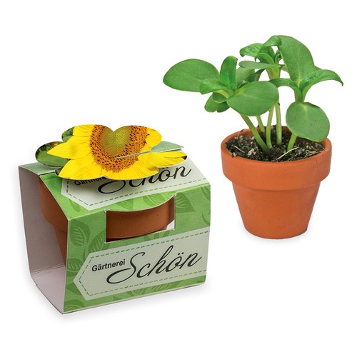 Mini pot terre cuite en fourreau fleur avec graines - Tournesol