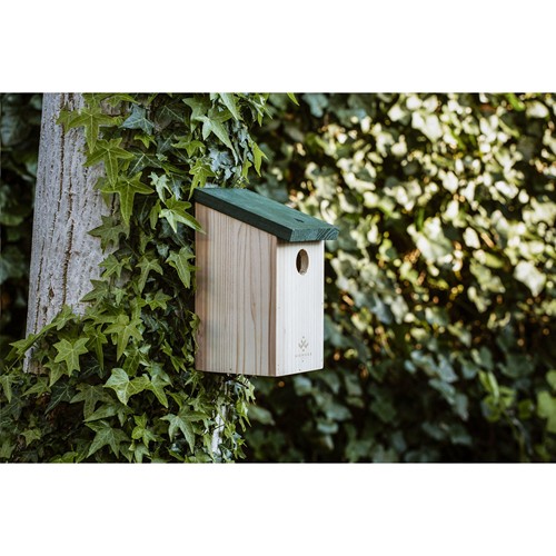 Birdhouse Birdhouse