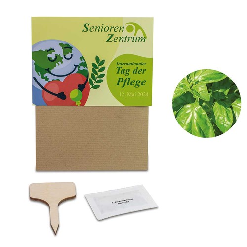 Ensemble de plantes - Lot de 3 - Basilic / Cresson alénois / Mélange d'herbes aromatiques