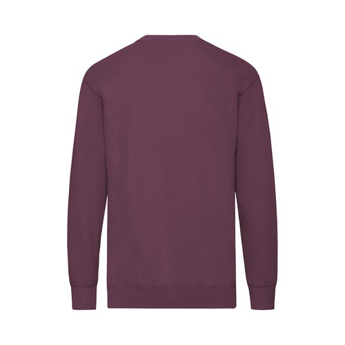 bluza