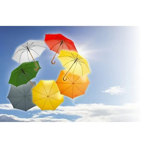 Automatic umbrella | Hayden