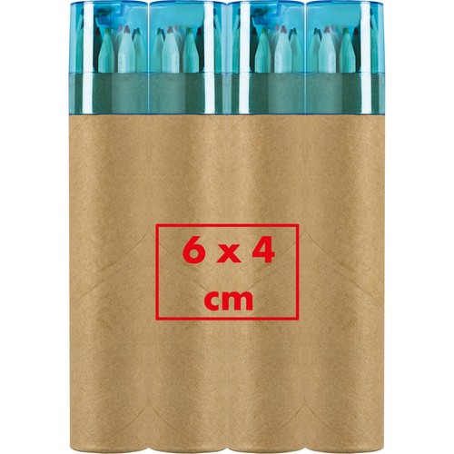 12 crayons de couleurs avec taille-crayon