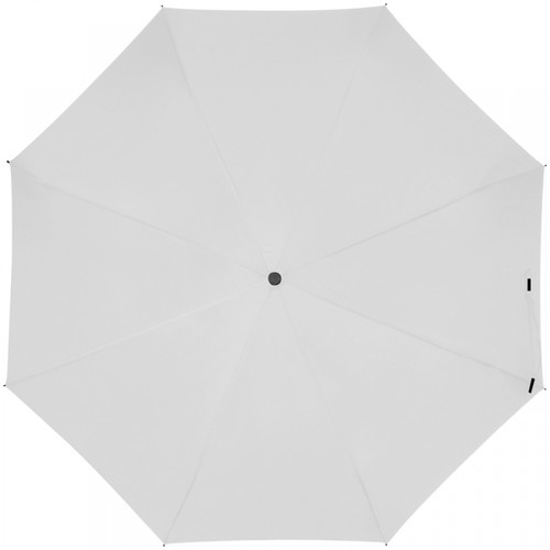 Automatic umbrella with carabiner handle Automatic umbrella with carabiner handle