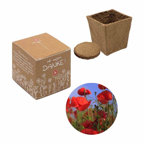 Cube-plantset (klein) - Klaproos Cube-plantset (klein) - Klaproos