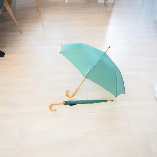 Polyester (190T) umbrella Kelly