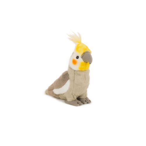 Perruche nymphe 20 cm Perruche nymphe 20 cm