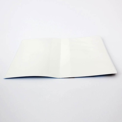 CUSTOMIZABLE VACCINE BULLETIN HOLDER C/MS