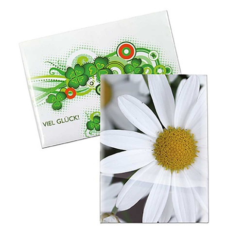 Zaadzakjes mini standaard papier - Margriet Zaadzakjes mini standaard papier - Margriet