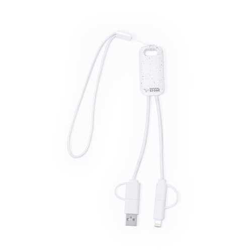 Câble de Charge Surgex