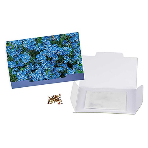 Flower-card with seeds - Forget-me-not