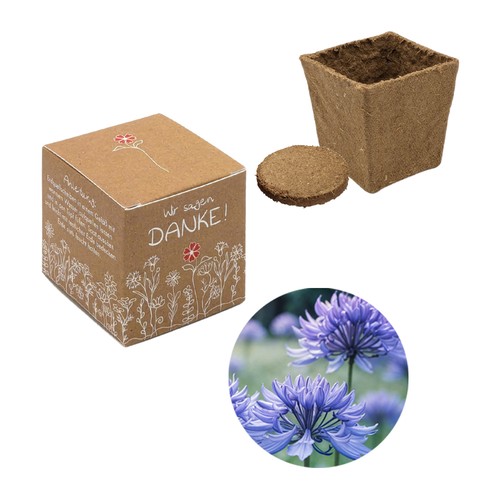 Cube-plantset (klein) - Korenbloem Cube-plantset (klein) - Korenbloem