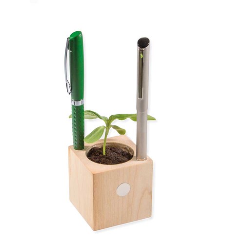 Houten pennenbakje met zaden - bieslook