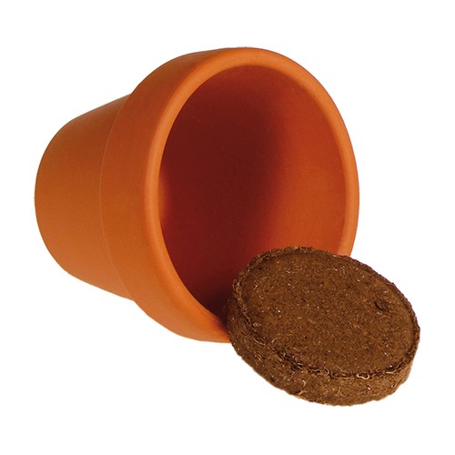 Geluk in een doos - Plantset - Rode klaver Geluk in een doos - Plantset - Rode klaver