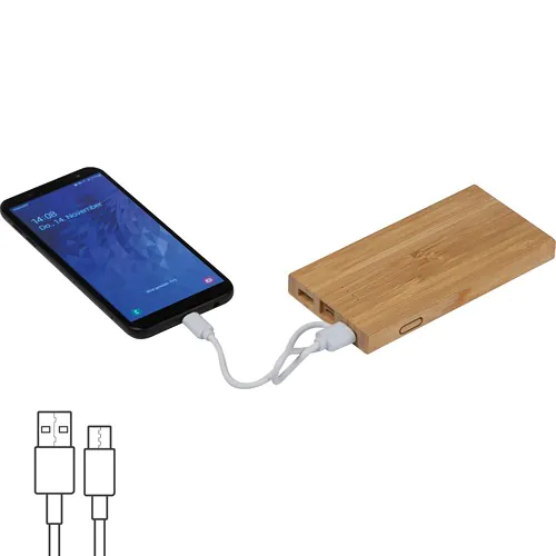 Bamboo power bank