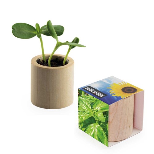 Pot rond en bois avec graines - Basilic Pot rond en bois avec graines - Basilic