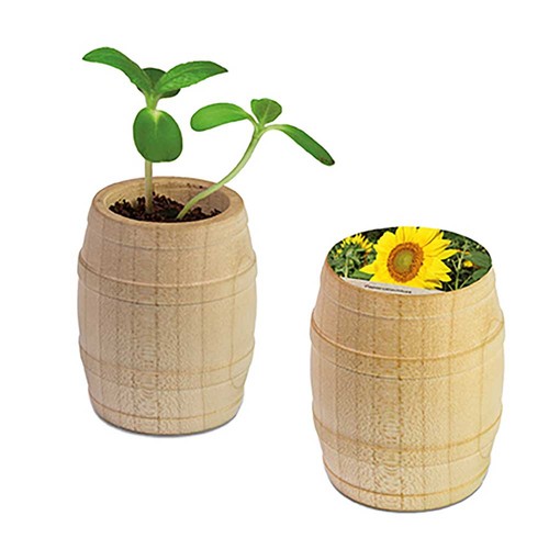 Mini-tonneau en bois avec graines - Tournesol Mini-tonneau en bois avec graines - Tournesol