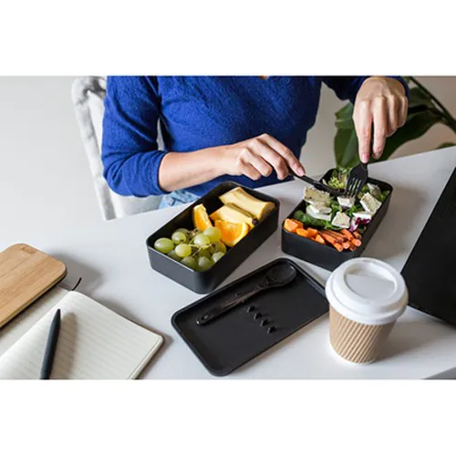 contenitore per il pranzo contenitore per il pranzo
