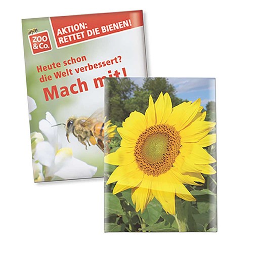 Zaadzakjes standaard papier - Papier recyclen - Zonnebloemen