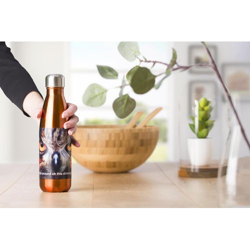 Stainless steel bottle (650 ml) Sumatra Stainless steel bottle (650 ml) Sumatra