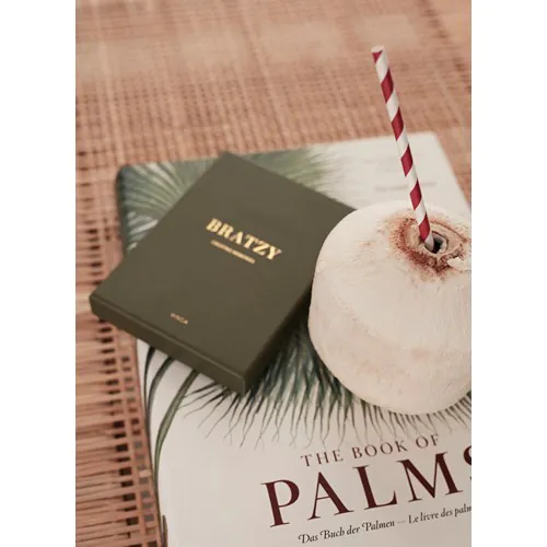 Gioco da tavolo VINGA Bratzy Coffee