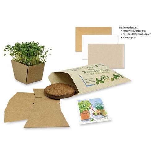 "Make-a-Wish" Seed Planting Kit - (Kraftpapier) Cress "Make-a-Wish" Seed Planting Kit - (Kraftpapier) Cress