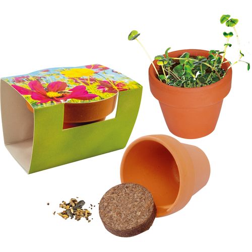 Pot en terre cuite Snack Abeilles Pot en terre cuite Snack Abeilles
