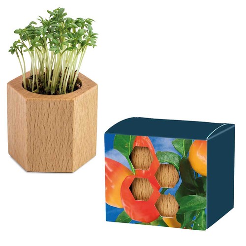 Pot cube Hexagon avec graines - Piment Pot cube Hexagon avec graines - Piment