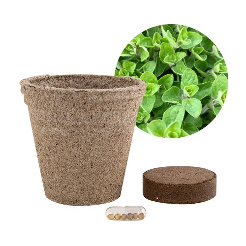 Jar with peat and seeds Paprica