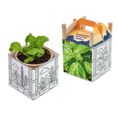 Color & Grow House - Basil Color & Grow House - Basil