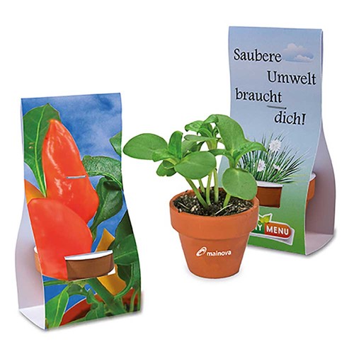 Mini logo-pot handover-packaging with seeds - Chilli