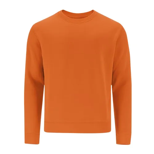 bluza