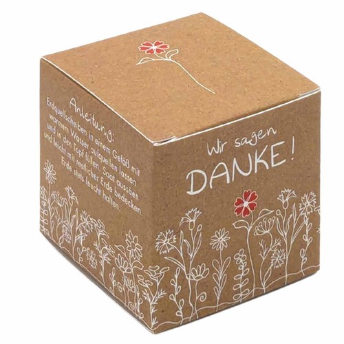 Cube-plantset (klein) - Margriet