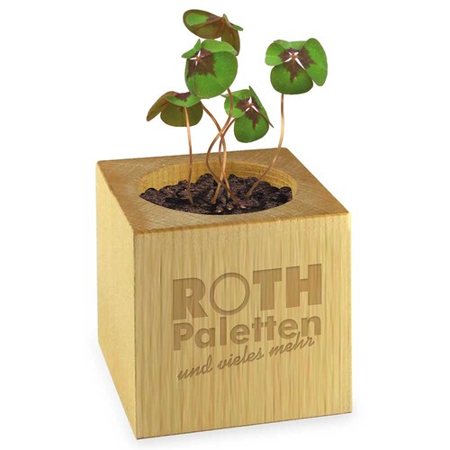 cubo publicitario cubo publicitario