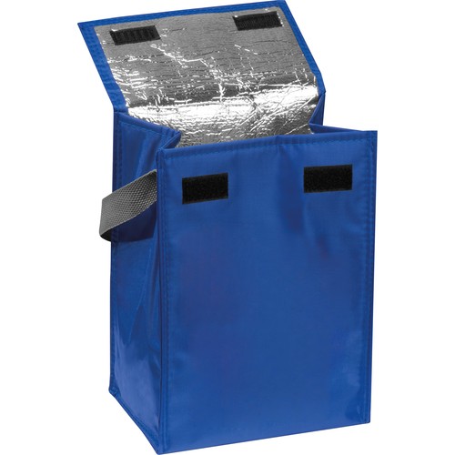 Borsa frigo