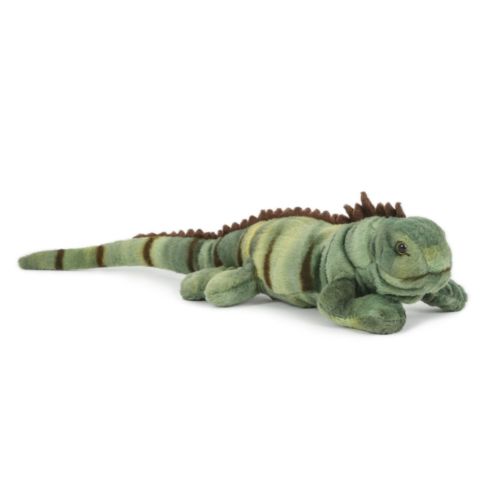 Iguane, petit 36 cm Iguane, petit 36 cm