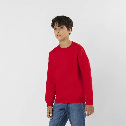 bluza